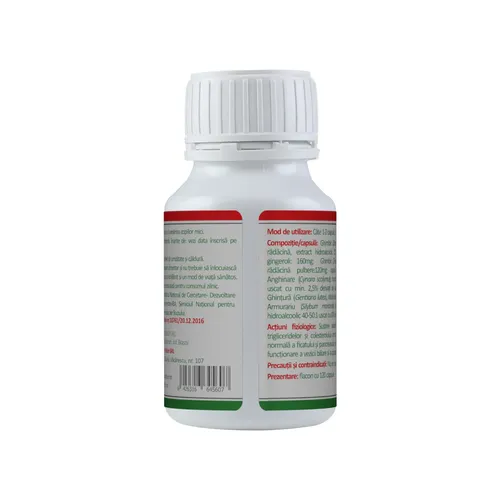 Ghimbir Extract Forte 120 capsule